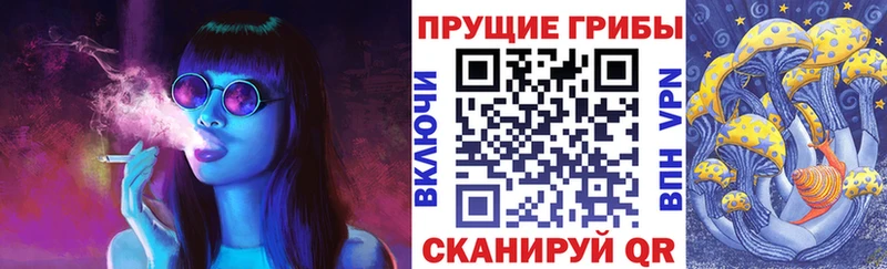 купить  сайты  Камешково  Псилоцибиновые грибы Magic Shrooms 